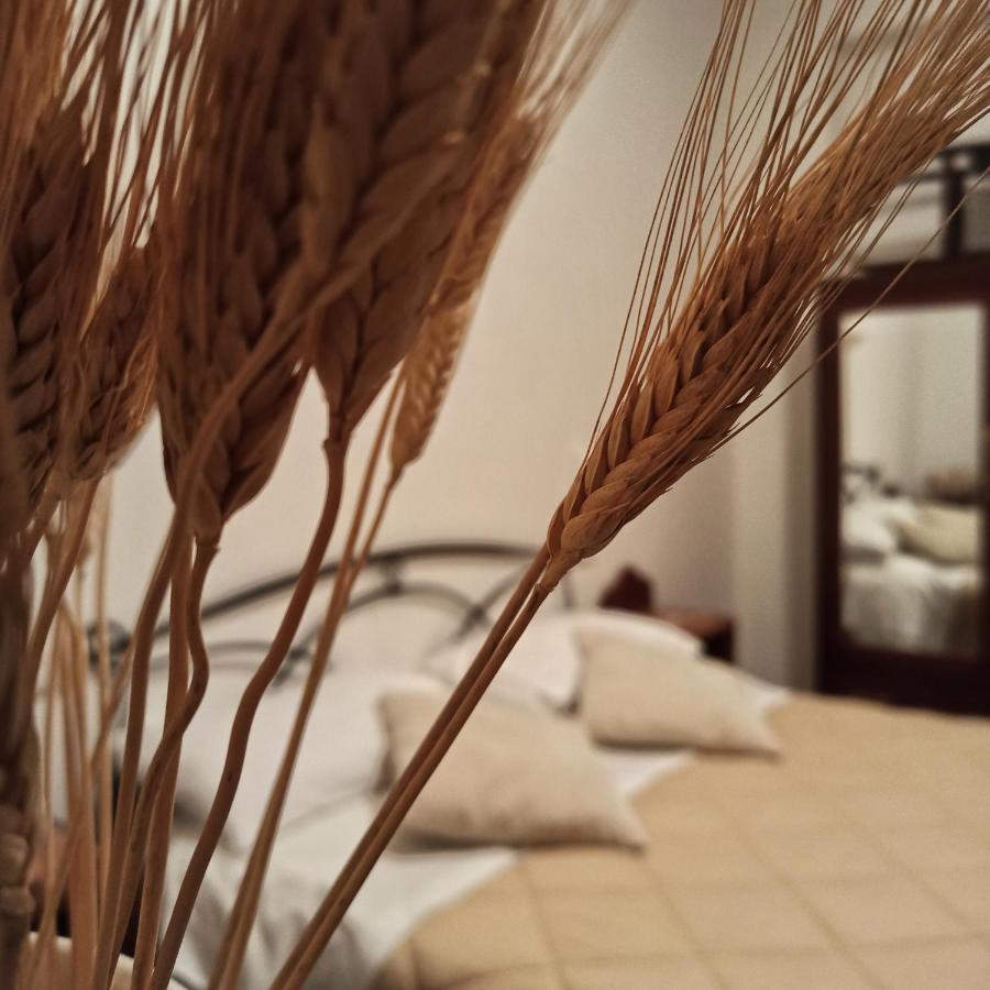 B&B La Masseria del '700 Castiglione a Casauria Esterno foto